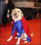 Krypto the Superdog