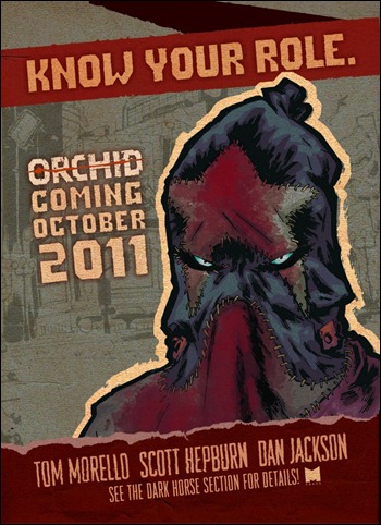 Orchid teaser 