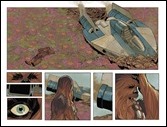 Chewbacca #1 Preview 2