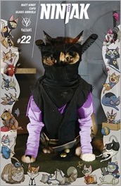 Ninjak #22 Cover - Cat Cosplay Variant