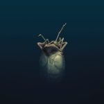 First Look: William Gibson’s Alien 3 #1 by Gibson, Christmas & Bonvillain